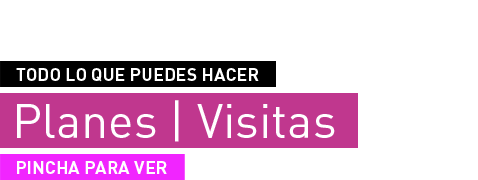 Planes y visitas